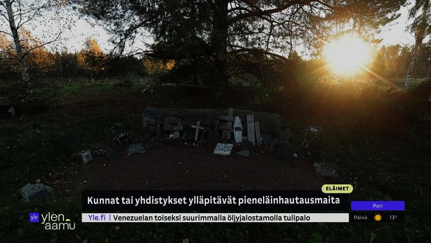 Pieneläinhautausmaa puhuttaa Seinäjoella