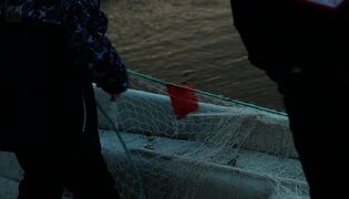 Kiureli suomeksi
