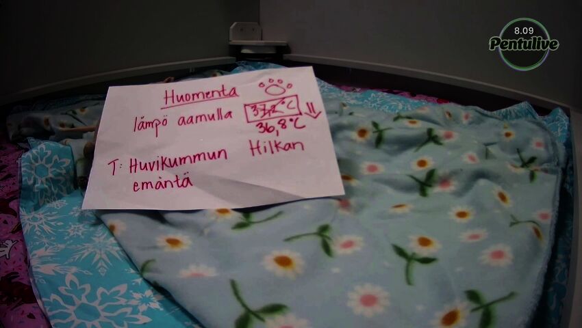 Hilkan lämmöt laskivat alle 37 asteen