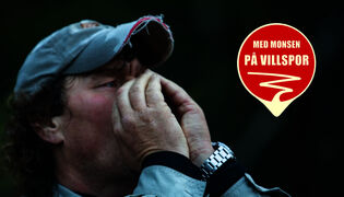 Erämaan armoilla