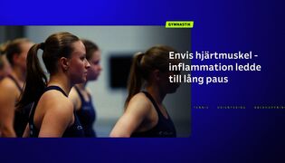 Sportnytt