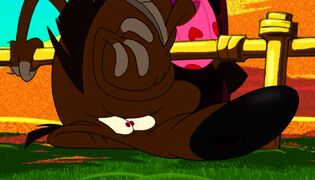 Zig & Sharko