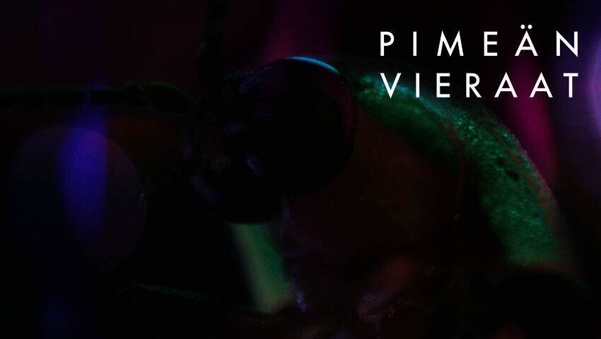 Pimeän vieraat