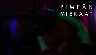 Pimeän vieraat