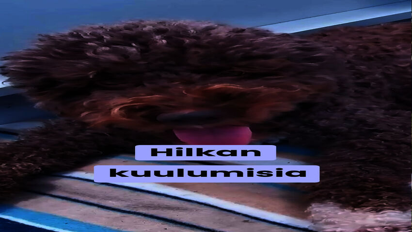 Hilkan kuulumisia