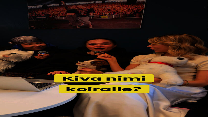Ylen tutut kasvot keksivät hauskoja koiran nimiä