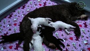 Pöytäpaikat maitobaarissa ovat täynnä