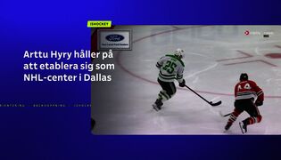 Sportnytt