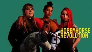 Hobbyhorse Revolution