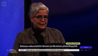 Euroopan rooli Ukrainan tukemisessa