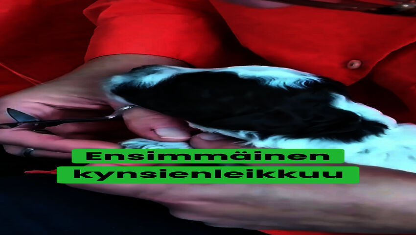 Ensimmäinen kynsienleikkuu