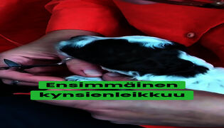 Ensimmäinen kynsienleikkuu