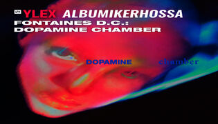 Albumikerho: Fontaines D.C. - Dopamine Chamber