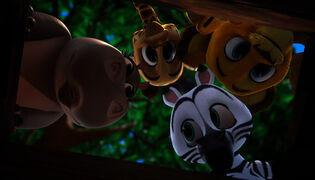 Madagascar: Pikkuvillilä (S)