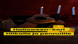 Mitä kerätään Hilkan ja pentujen Pöö-koriin?
