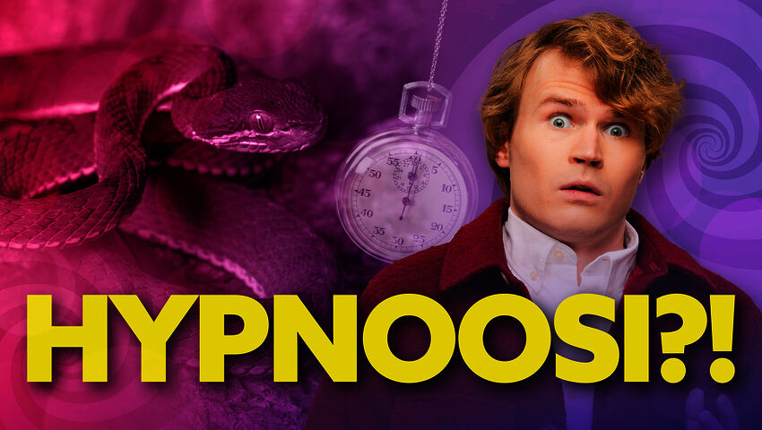 PYRY HYPNOOSISSA?! – KATOAAKO KÄÄRMEPELKO?? 