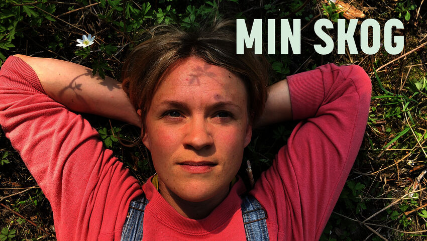 Minun metsäni